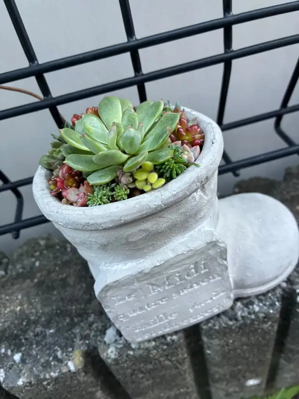 長ぐつの形の鉢に植えた寄せ植え（Mサイズ）
