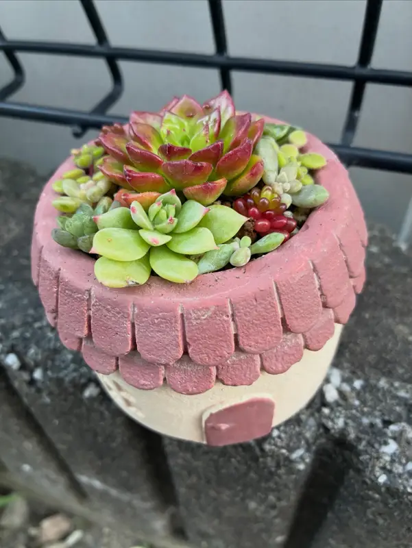 レンガ色の屋根の鉢に植えた寄せ植え（Sサイズ）
