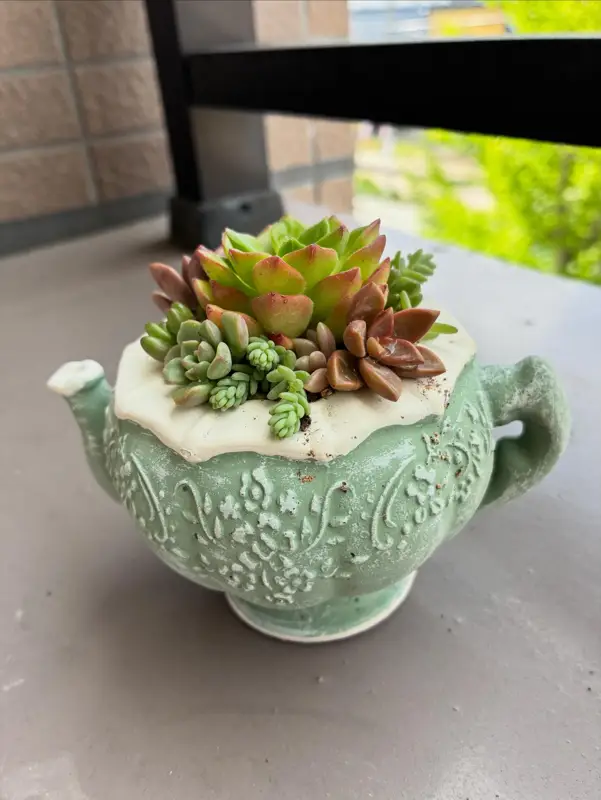 緑のティーポットの鉢に植えた寄せ植え（Sサイズ）